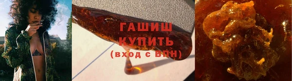 стаф Богданович